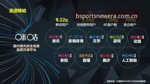 世界杯观赛与BSports体育平台体验对比详解